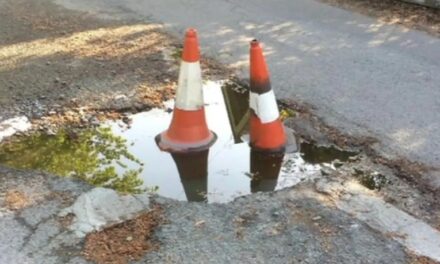 When Hollywood’s Dr Dolittle Film Crew Fixed Bangor’s Big Pothole
