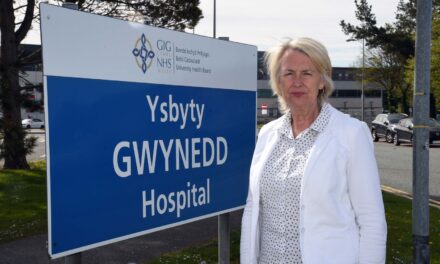 MS calls for mother and baby unit in north Wales