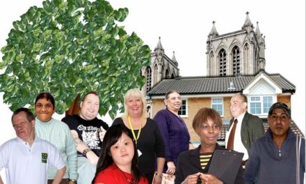 Have your say on Cyngor Gwynedd services