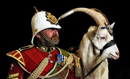 Regimental Goat Receives Special Attention Ahead of Bangor Military Parade