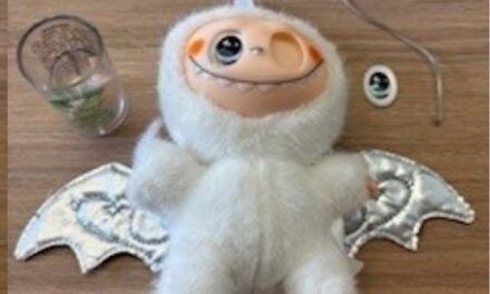 Counterfeit Labubu Dolls Found on Sale Across Gwynedd, Sparking Child Safety Warning
