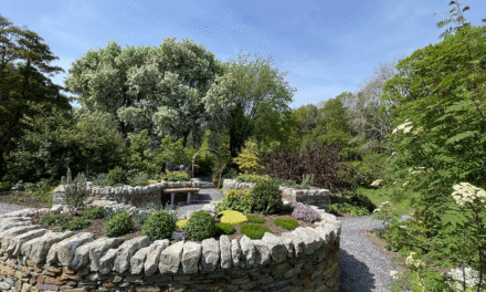 Bangor University unveils Welsh herbal garden at Treborth