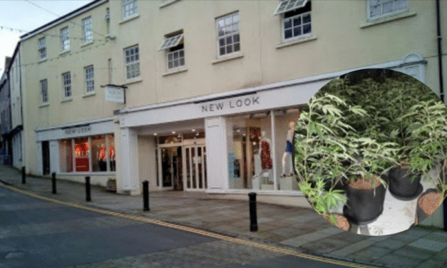 Sophisticated Cannabis Farm Found at Former New Look Store in Bangor
