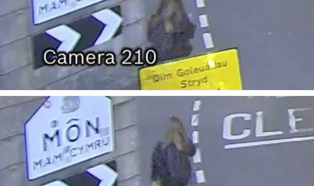 Police Appeal to Identify Key Witness in Disappearance of Gwenno Ephraim