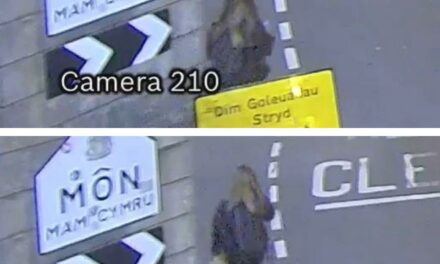 Police Appeal to Identify Key Witness in Disappearance of Gwenno Ephraim