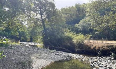Drought status declared for north Wales