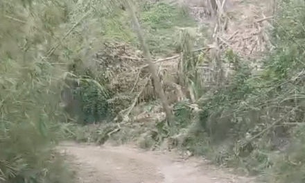 Appeal to Support Clarendon Schools in Jamaica After Hurricane Devastation