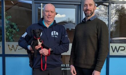 Watkin Property Ventures Announces ‘3 Dads Walking’ as 2025/26 Staff Charity
