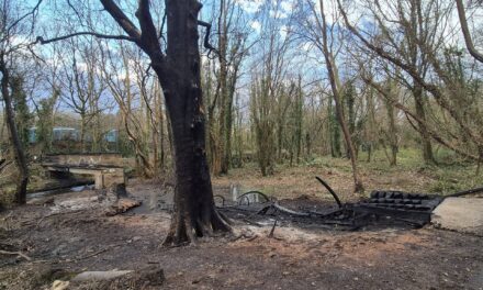 Police Appeal After Deliberate Fire at Afon Cegin Bridge in Bangor