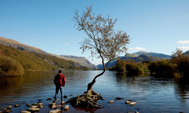 Bangor University Research: Nature supports a good life in more ways than one