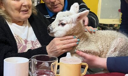 Residents enjoy wild encounter at Bangor care home