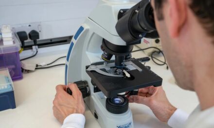 Bangor scientists receive funding to better understand breast cancer linked to inherited gene changes