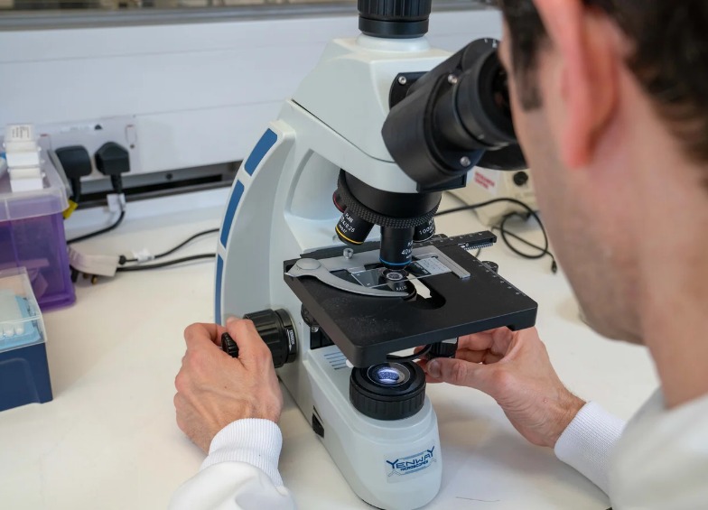 Bangor scientists receive funding to better understand breast cancer linked to inherited gene changes