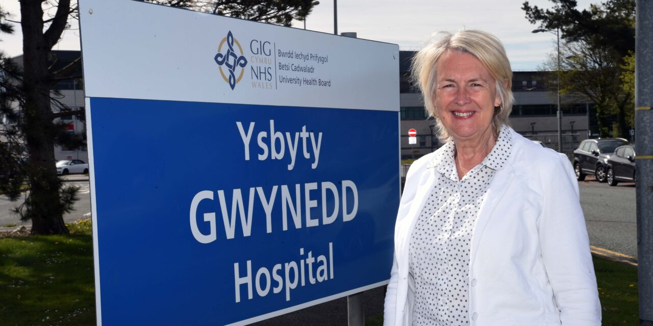 Siân Gwenllian welcomes NHS jobs for Bangor University nursing graduates