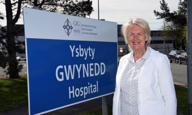 Siân Gwenllian welcomes NHS jobs for Bangor University nursing graduates