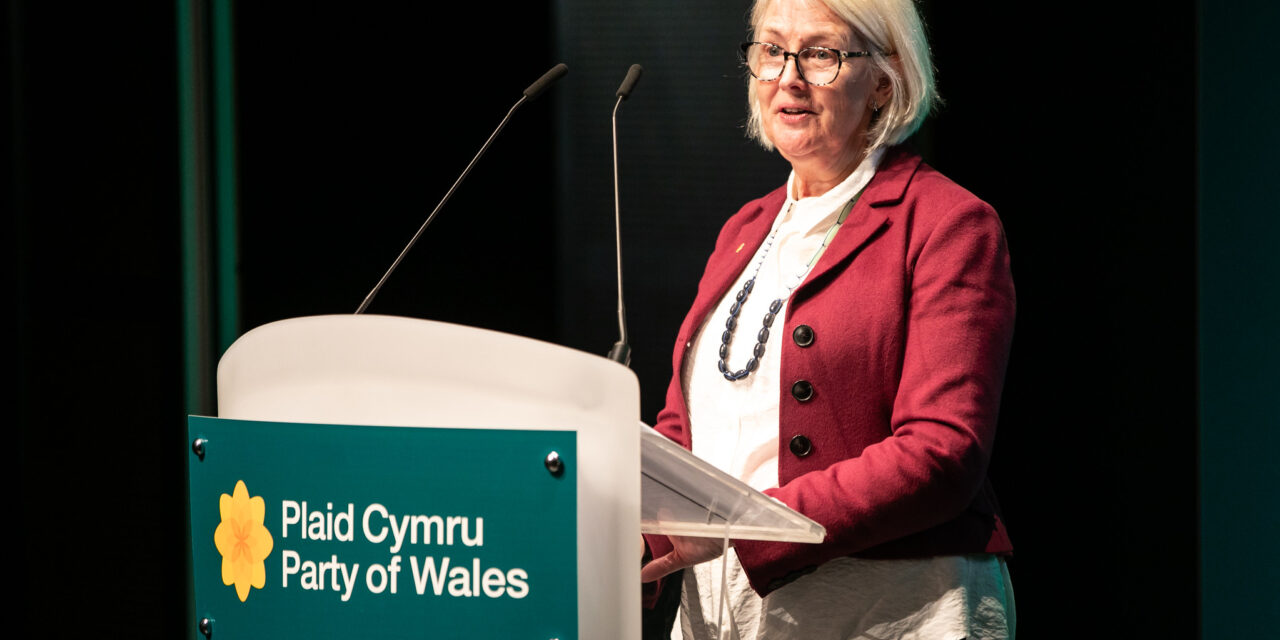 Siân Gwenllian MS makes case for future of Bangor town centre
